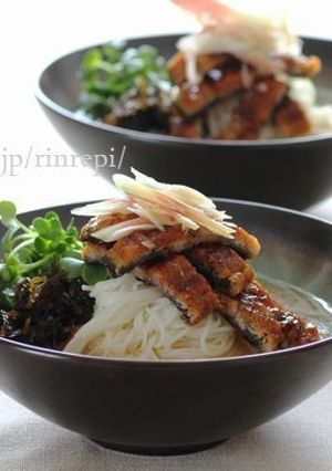うなぎと野菜の冷だし素麺茶漬け-レシピのメイン写真