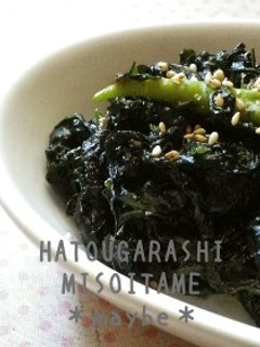 夏限定・葉とうがらしの味噌炒め-レシピのメイン写真