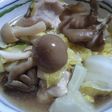 炊飯器で☆彡鶏の白菜スープ煮とゴハン