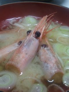 甘エビの味噌汁-レシピのメイン写真
