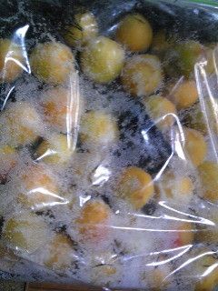 昆布梅干し-レシピのメイン写真