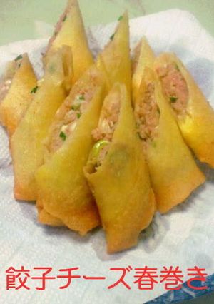 餃子チーズ春巻き♪-レシピのメイン写真