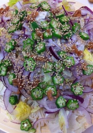 ボリューム野菜の素麺-レシピのメイン写真