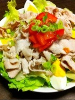 夏バテに★オシャレ豚しゃぶサラダ-レシピのメイン写真