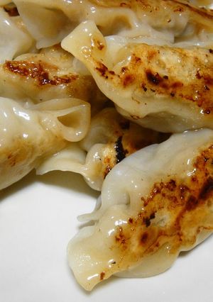 ぎょーざ！餃子、餃子餃子餃子、ぎょーざ！-レシピのメイン写真