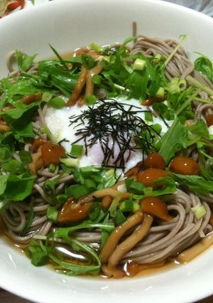 なめたけとろろの冷たいお蕎麦温たまのっけ-レシピのメイン写真