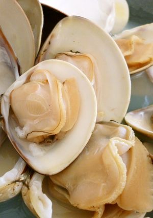 はまぐりの最高の食べ方!-レシピのメイン写真