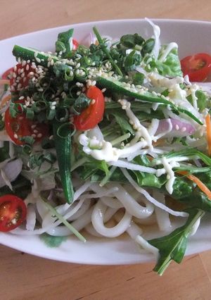 10品目のサラダのうどん-レシピのメイン写真