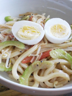 簡単☆ピリ辛☆冷やしうどん-レシピのメイン写真