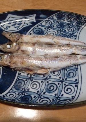 キス（魚ですよ～）の塩茹-レシピのメイン写真