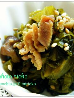 *万能!豚肉と高菜の炒め物*-レシピのメイン写真