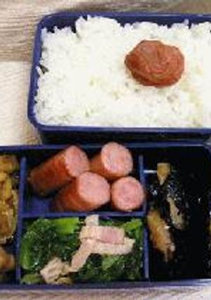 お弁当　2004．6.3-レシピのメイン写真