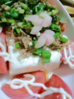 おくらと新生姜の豆腐サラダ-レシピのメイン写真