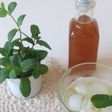夏バテ予防のハーブコーディアル
