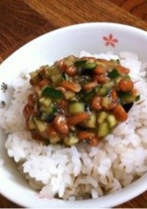 夏野菜でダシかけゴハン!簡単!-レシピのメイン写真