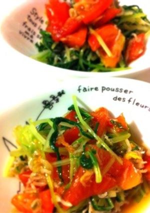 水菜とトマトのおひたし-レシピのメイン写真