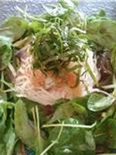 冷製サラダそうめん-レシピのメイン写真