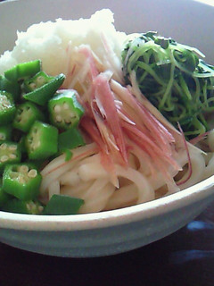 夏の味☆おろしうどん-レシピのメイン写真
