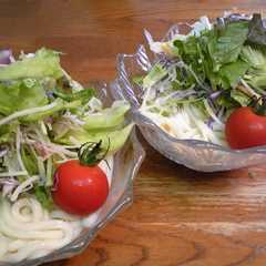 10種の野菜☆サラダうどん-レシピのメイン写真