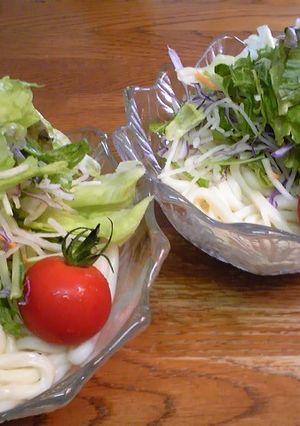 10種の野菜☆サラダうどん-レシピのメイン写真