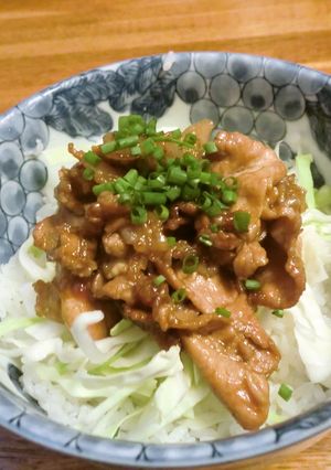 焼き鳥のたれDEあっという間に豚丼-レシピのメイン写真