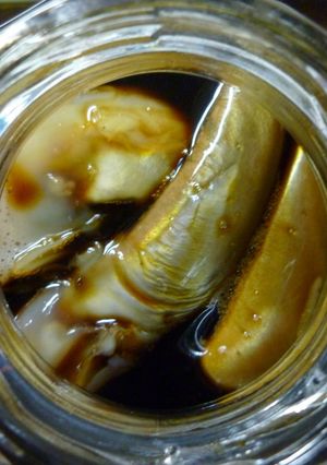 いかゴロの醤油漬け-レシピのメイン写真