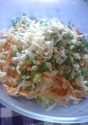 桜海老天風☆ぶっかけそうめん-レシピのメイン写真