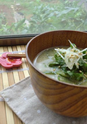 薬味たっぷり冷や汁-レシピのメイン写真