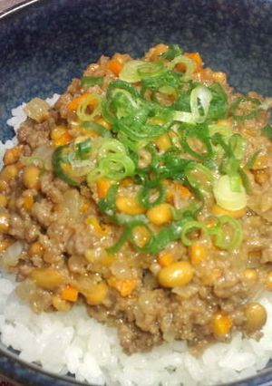 ネバネバでヘルシー☆肉みそ納豆丼-レシピのメイン写真