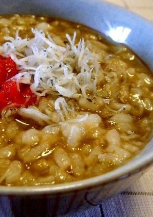 梅しらすのせ「ごはんですよ」でおかゆ♪-レシピのメイン写真