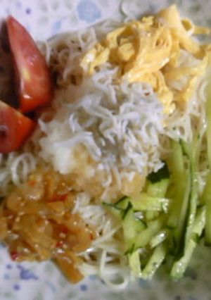 夏にピッタリ！冷やしおろし素麺☆-レシピのメイン写真