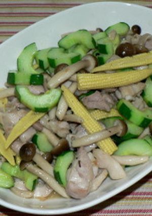 キュウリと鶏もも肉の生姜風味炒めもの-レシピのメイン写真