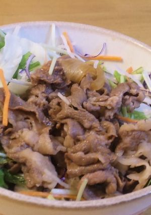 野菜たっぷりサラダ牛丼-レシピのメイン写真