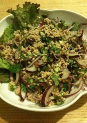 ラープ・ムー♢タイ風豚挽肉のサラダ-レシピのメイン写真
