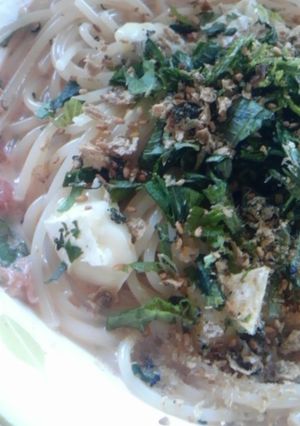 明太チーズ豆乳クリームパスタ-レシピのメイン写真