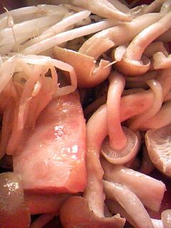 簡単:牛ダシダで作る塩焼きそば-レシピのメイン写真