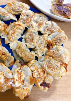 キャベツ白菜不要！ 焼き餃子-レシピのメイン写真