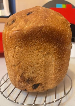 レーズンフランス食パン-レシピのメイン写真