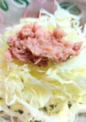 腎臓病と糖尿病 キャベツとツナのサラダ-レシピのメイン写真