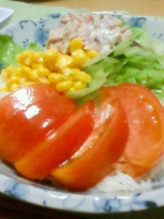 簡単☆サラダそうめん-レシピのメイン写真