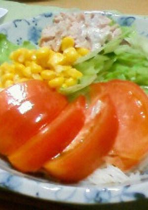 簡単☆サラダそうめん-レシピのメイン写真