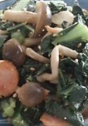 ケール（青菜）のサラダ-レシピのメイン写真