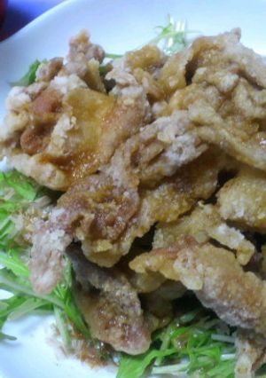 豚肉のかりっと揚げ-レシピのメイン写真
