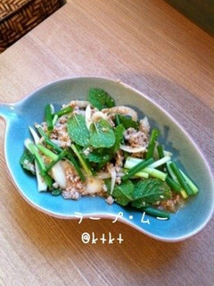 *私のタイ料理*ひき肉とミントのサラダ-レシピのメイン写真