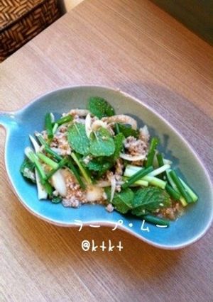 ＊私のタイ料理＊ひき肉とミントのサラダ-レシピのメイン写真