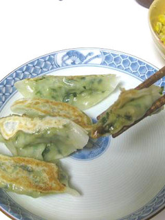 ベジレシピ☆豆腐とニラの焼き餃子-レシピのメイン写真