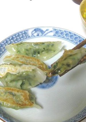ベジレシピ☆豆腐とニラの焼き餃子-レシピのメイン写真