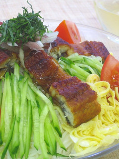 うなぎのぶっかけそうめん~さっぱり甘酢-レシピのメイン写真