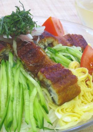 うなぎのぶっかけそうめん～さっぱり甘酢-レシピのメイン写真