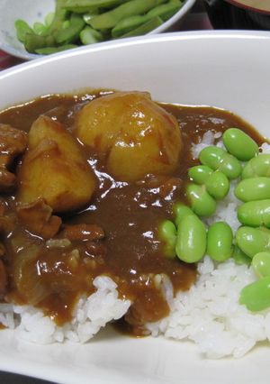 祝！四か月♪玉ねぎトマトたっぷりカレー☆-レシピのメイン写真